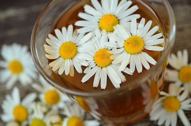 13 bienfaits du thé à la camomille : peau, cheveux et santé (et c’est naturel)