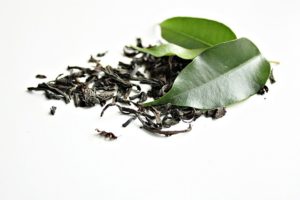 culture de thé vert chez soi