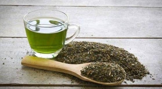  lumière naturelle ou artificielle peut détériorer le thé vert