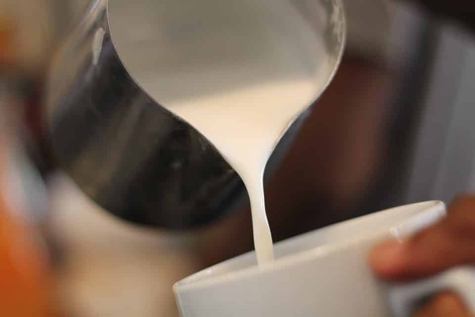 Pouvez vous ajouter du lait à votre Thé Vert ? (voici les options)