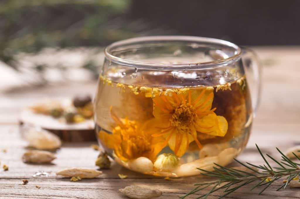Quels sont les meilleurs thés pour la santé?